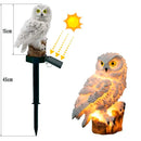 Coruja Decorativa LED 15 cm com Espeto